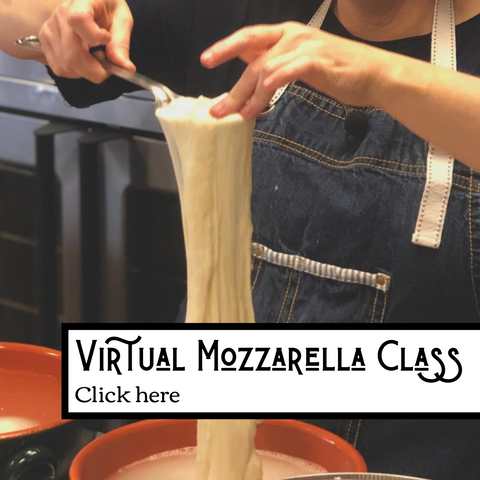 Virtual Mozzarella Class